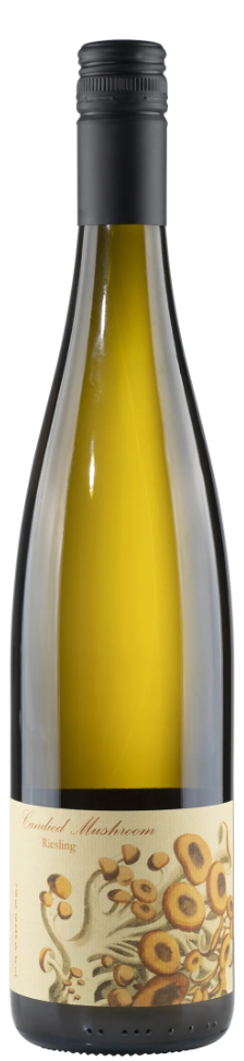 Teutonic "Candied Mushroom" Riesling Crow Valley Vineyard Willamette Valley - 2024 - 750ML